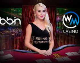 pg麻将胡了2024最新版